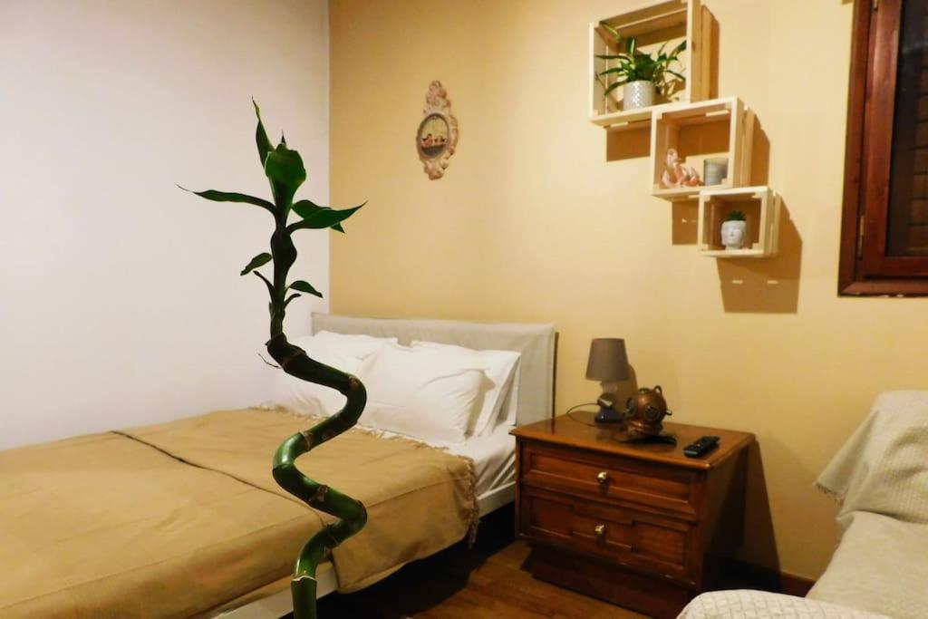 アナヴィソスMarco Polo'S Mooring Cozy Navy Houseアパートメント エクステリア 写真